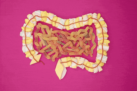 Zucker, unser s&uuml;&szlig;er Feind &ndash; und wie wir ihm entkommen