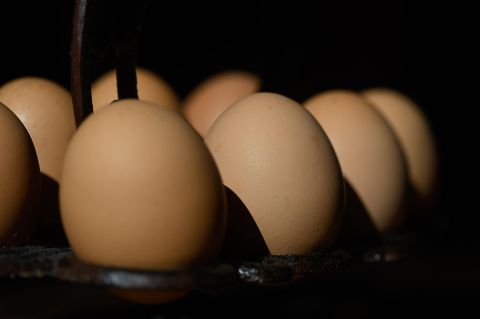 Warum Eier in Superm&auml;rkten zur Mangelware werden