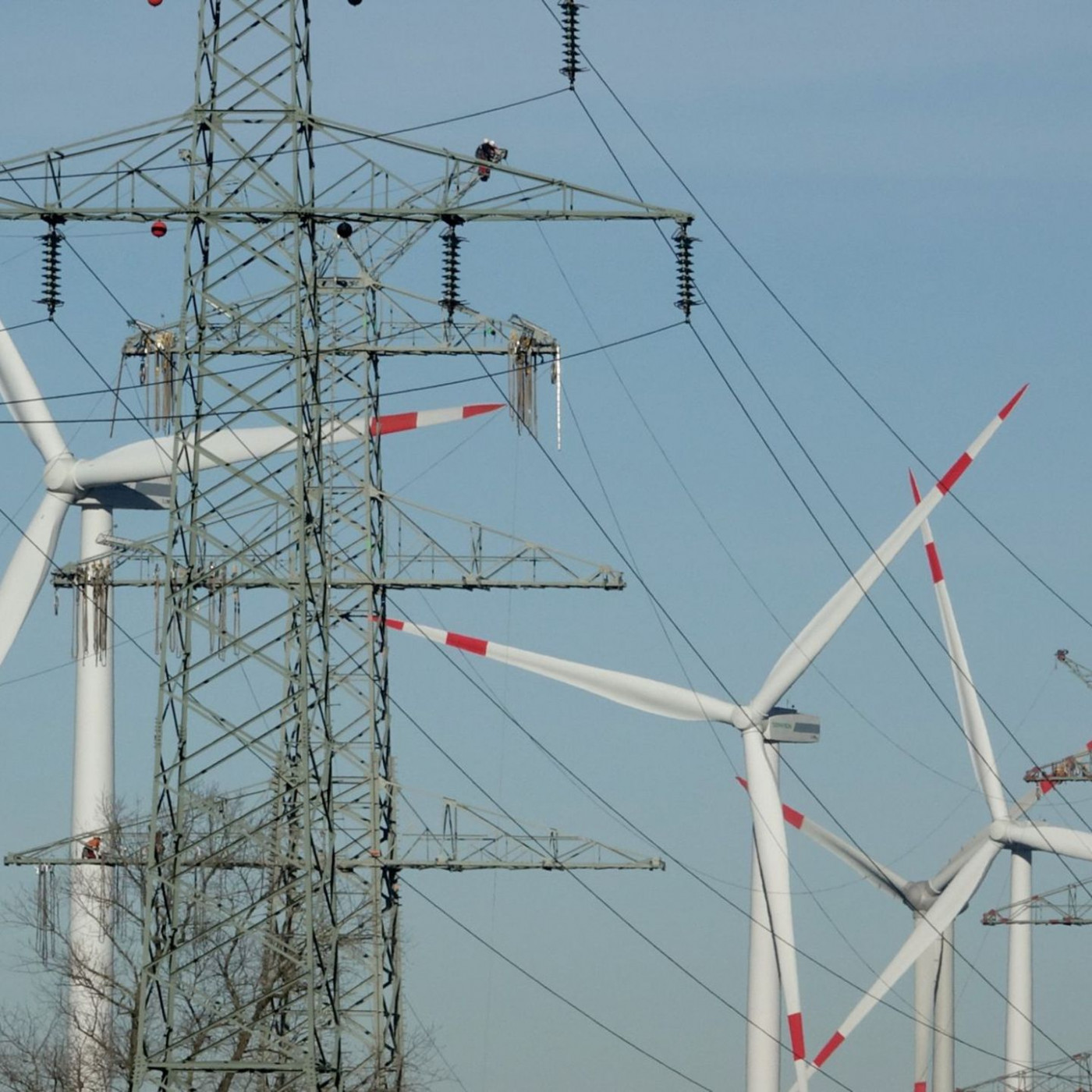 Bund kurz vor Einstieg bei Stromnetzbetreiber Tennet