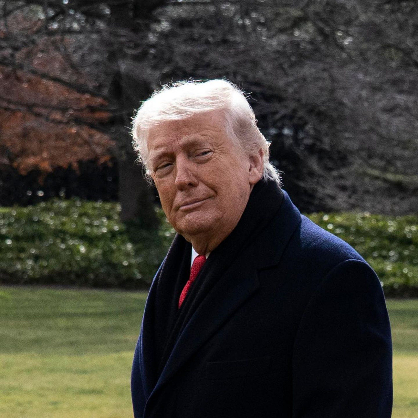 "Die Amerikaner zu bes&auml;nftigen war ein Fehler"