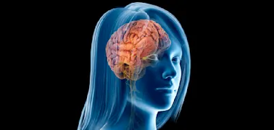 W&auml;hrend der Menopause ver&auml;ndert sich bei Frauen die Hirnstruktur