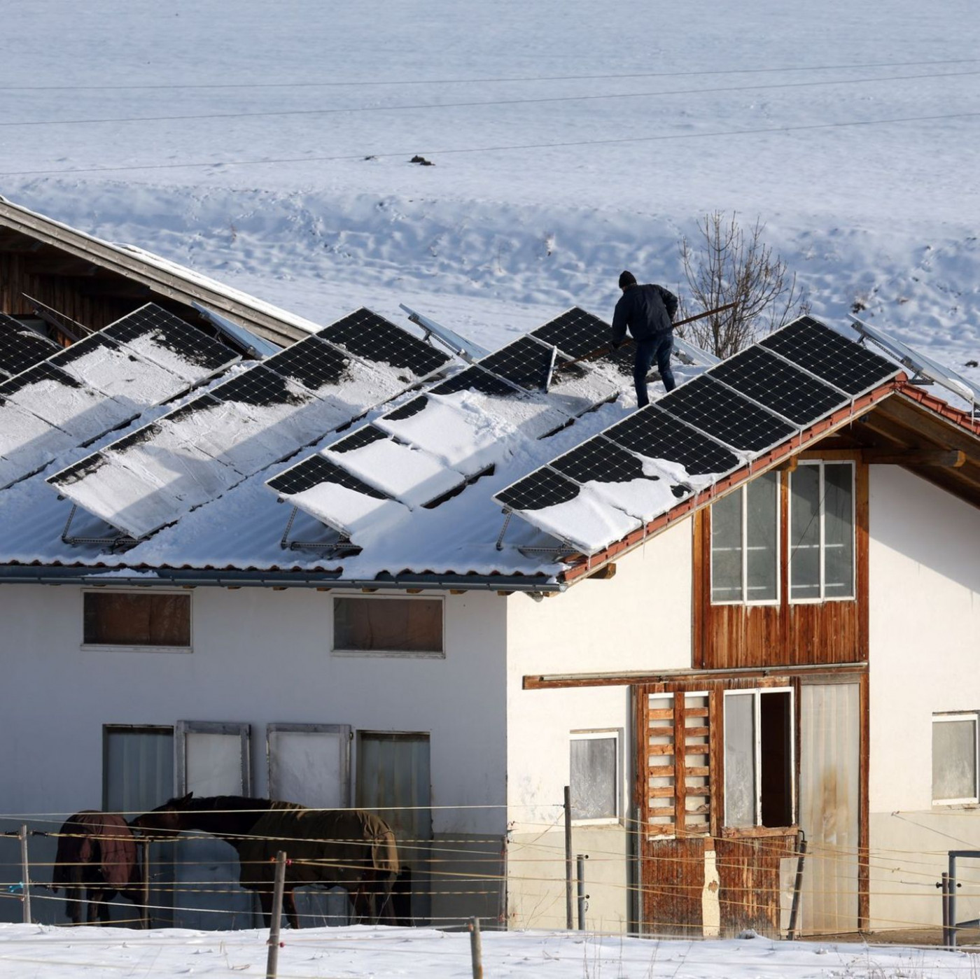 Eon: Saarland und Bayern Solar-Spitzenreiter 2025