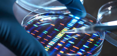 Warum auch 25 Jahre nach der Genom-Entschl&uuml;sselung viele Fragen offen bleiben