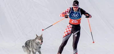 &bdquo;Ich dachte, es sei ein Wolf&ldquo; &ndash; Hund sorgt f&uuml;r Angst beim Langlauf