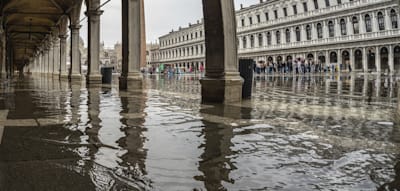 Videos zeigen, wie tausende Fische durch Venedigs Stra&szlig;en schwimmen