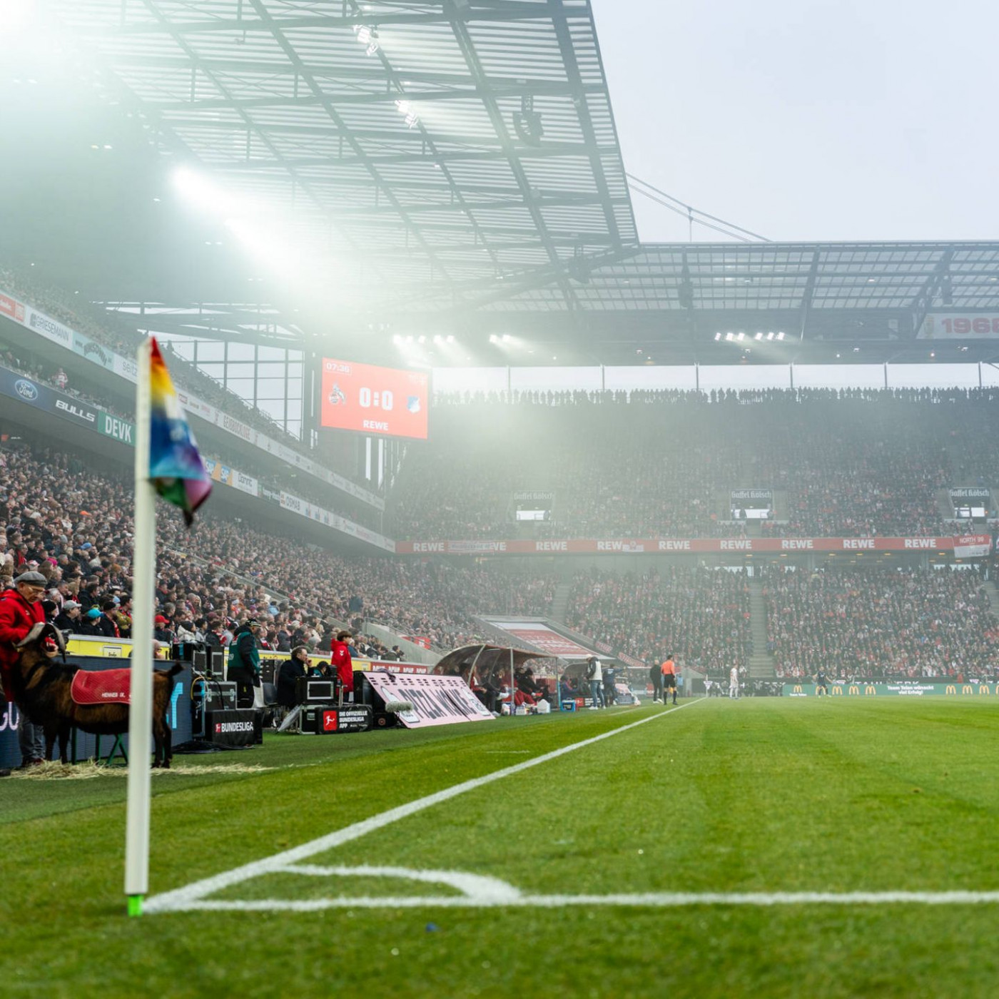 K&ouml;ln-Fan nach medizinischem Notfall gestorben