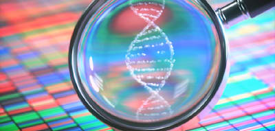 Experimentelle KI f&uuml;r T&auml;terfahndung mit DNA-Spuren liefert &bdquo;spektakul&auml;re&ldquo; Ergebnisse