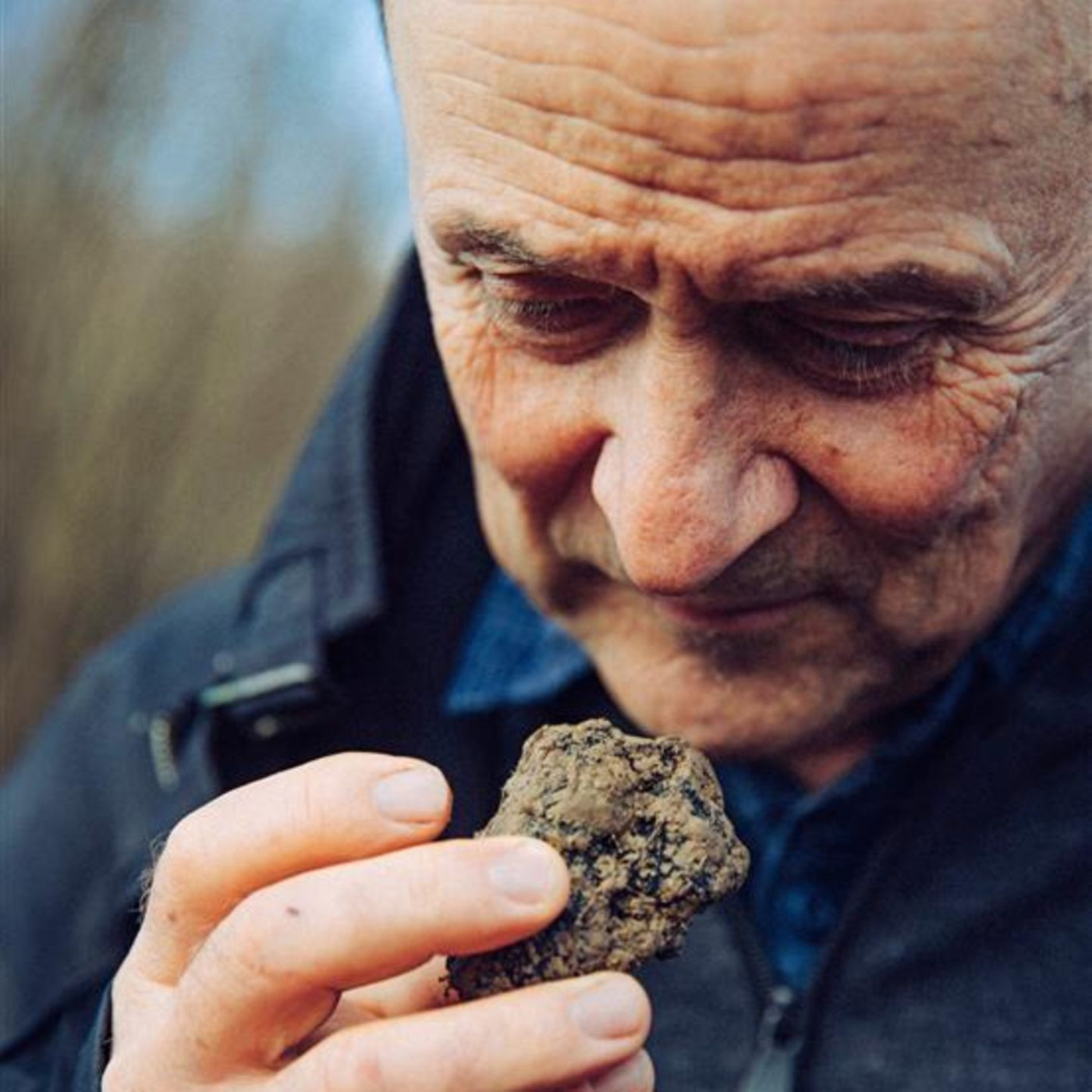 Tr&uuml;ffel aus Deutschland waren normal &ndash; bis die Nazis kamen