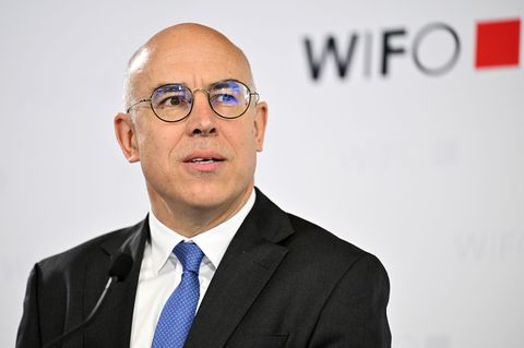 Regierung schl&auml;gt Felbermayr als "Wirtschaftsweisen" vor