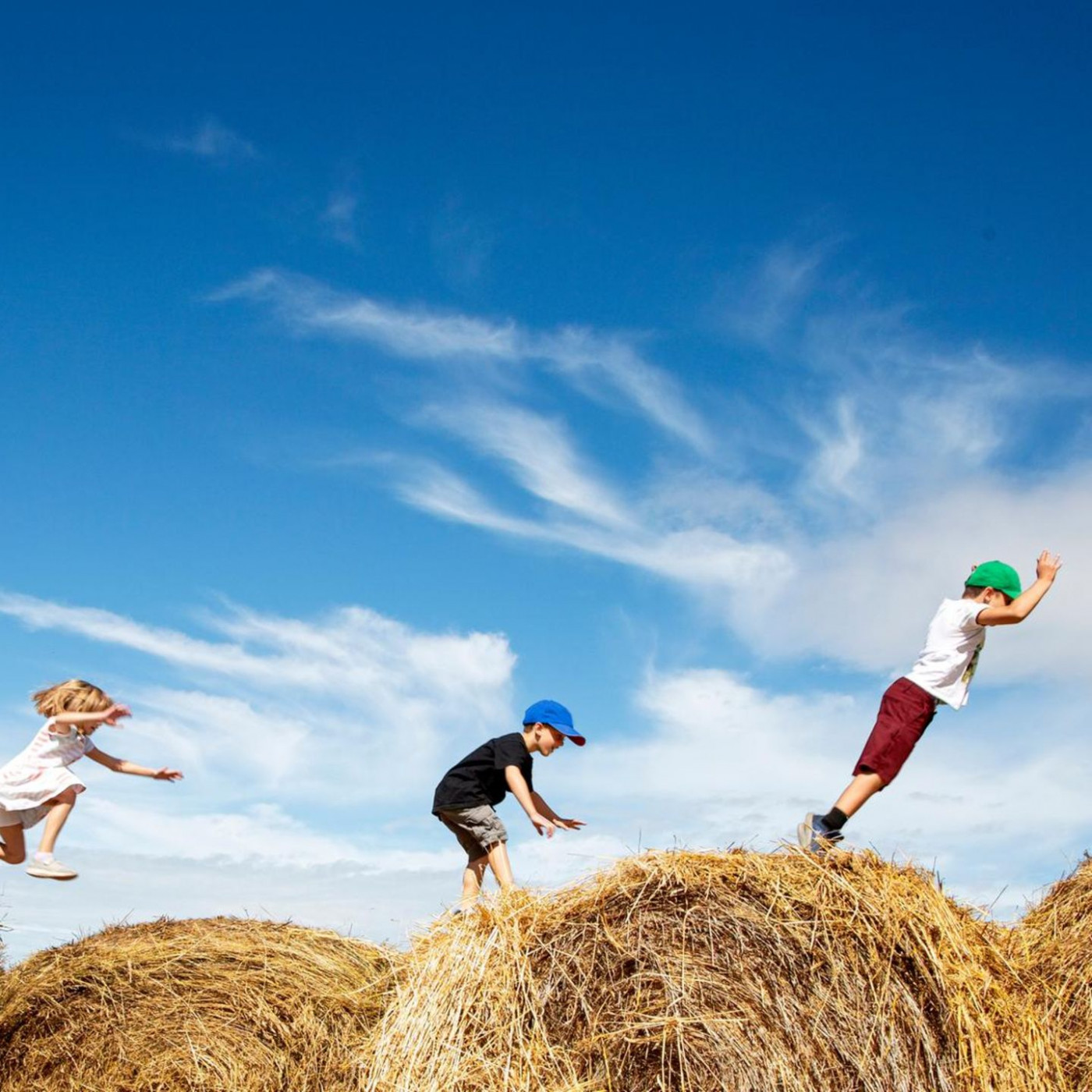 Haben Sie auch Heuschnupfen? Das k&ouml;nnte der Grund sein
