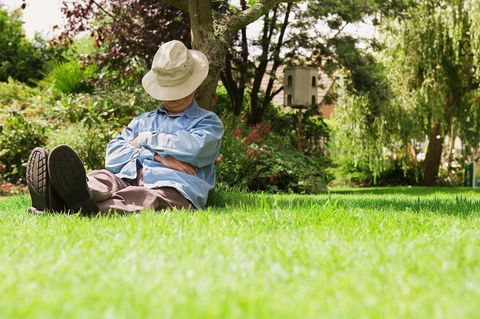 Wie viel Rente bekommt man, wenn man nie gearbeitet hat?