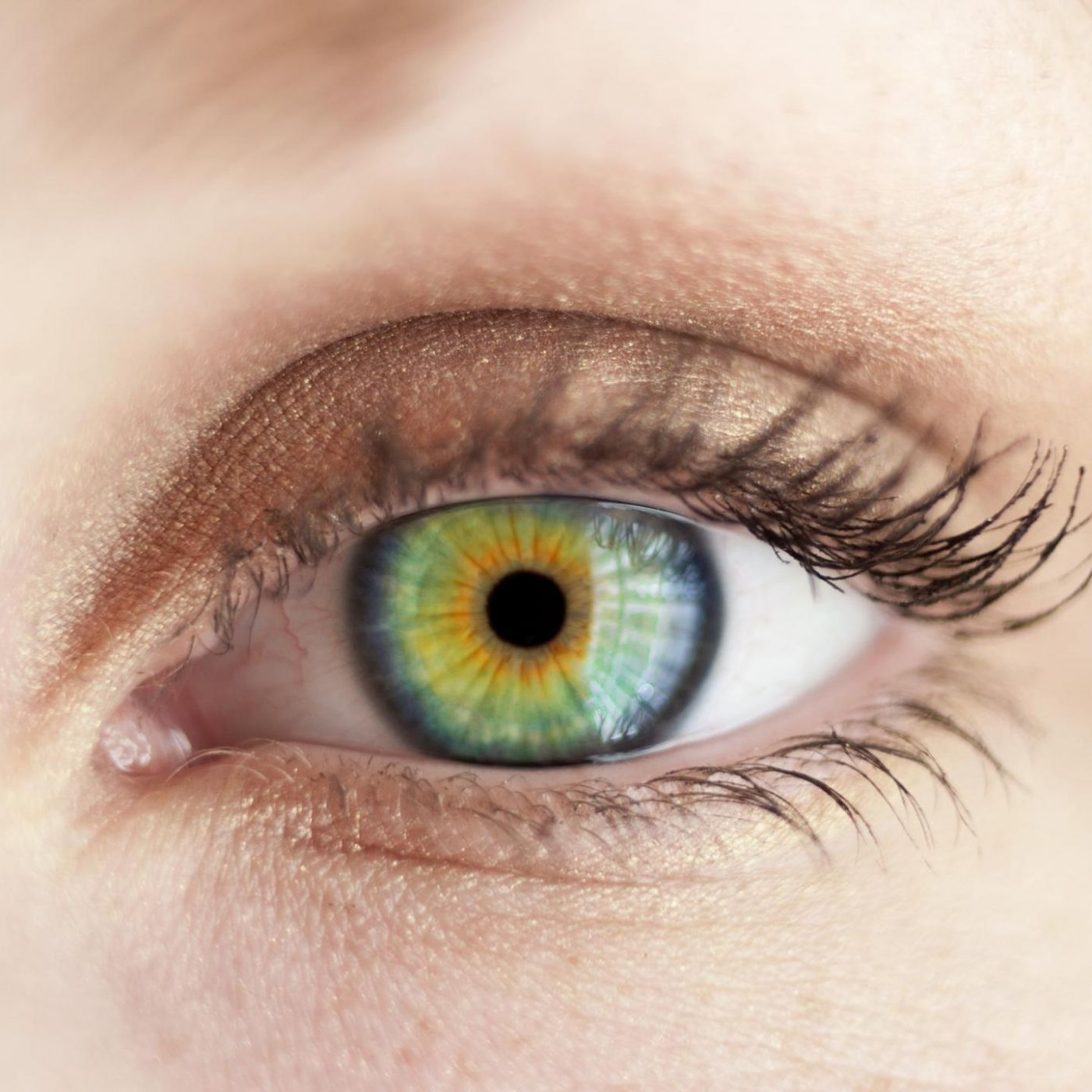 Zehn Dinge, die Sie noch nicht &uuml;ber Ihre Augen wussten