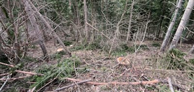 Hier st&uuml;rzte der F&uuml;rst von Thurn und Taxis 50 Meter in die Tiefe