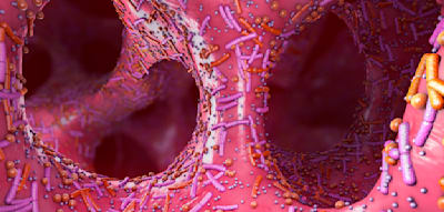 Noch Jahre nach der Einnahme von Antibiotika ist das Mikrobiom ver&auml;ndert