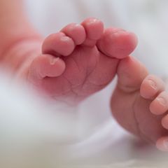 Forschung: Paare im Homeoffice bekommen mehr Kinder