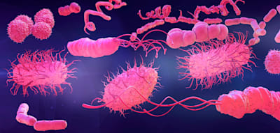 Neuer Wirkstoff 60-mal effektiver gegen ausl&ouml;sendes Magenkrebs-Bakterium