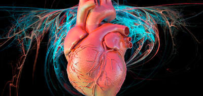 &bdquo;F&uuml;r die Gehirn- und Allgemeingesundheit ist die Variabilit&auml;t der Herzrate entscheidend&ldquo;