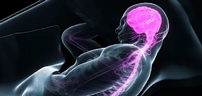 &bdquo;Je eindringlicher der Traum, desto tiefer f&uuml;hlt sich der Schlaf an&ldquo;