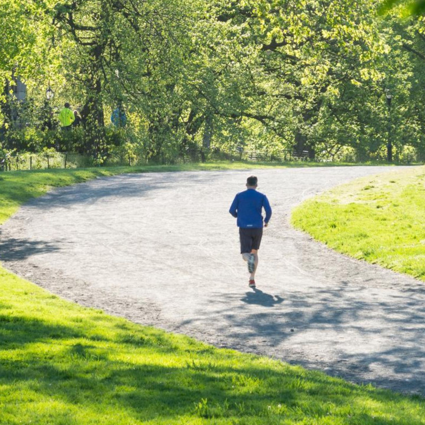 Gr&uuml;n tut gut &ndash;&nbsp;beim Sport, im Garten, der Seele. Warum der Mensch drau&szlig;en aufbl&uuml;ht