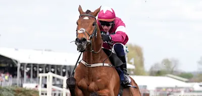 &bdquo;Herzloses Spektakel&ldquo; &ndash; Pferd stirbt nach Zieleinlauf