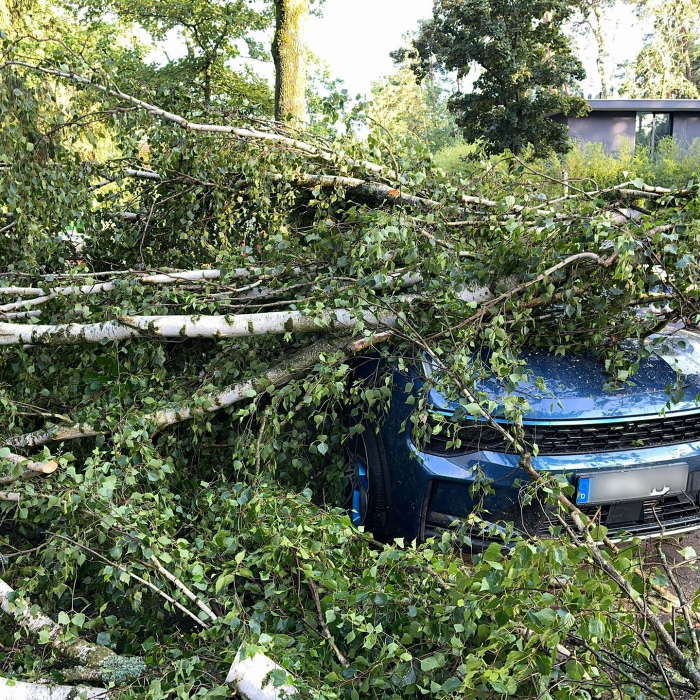 Unwettersch&auml;den an Autos in Deutschland fast halbiert