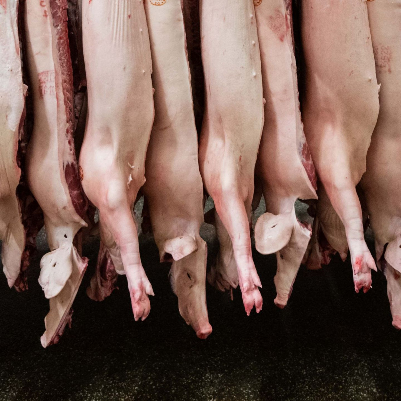 Vorschriften f&uuml;r Fleischindustrie: Karlsruhe weist Klage ab