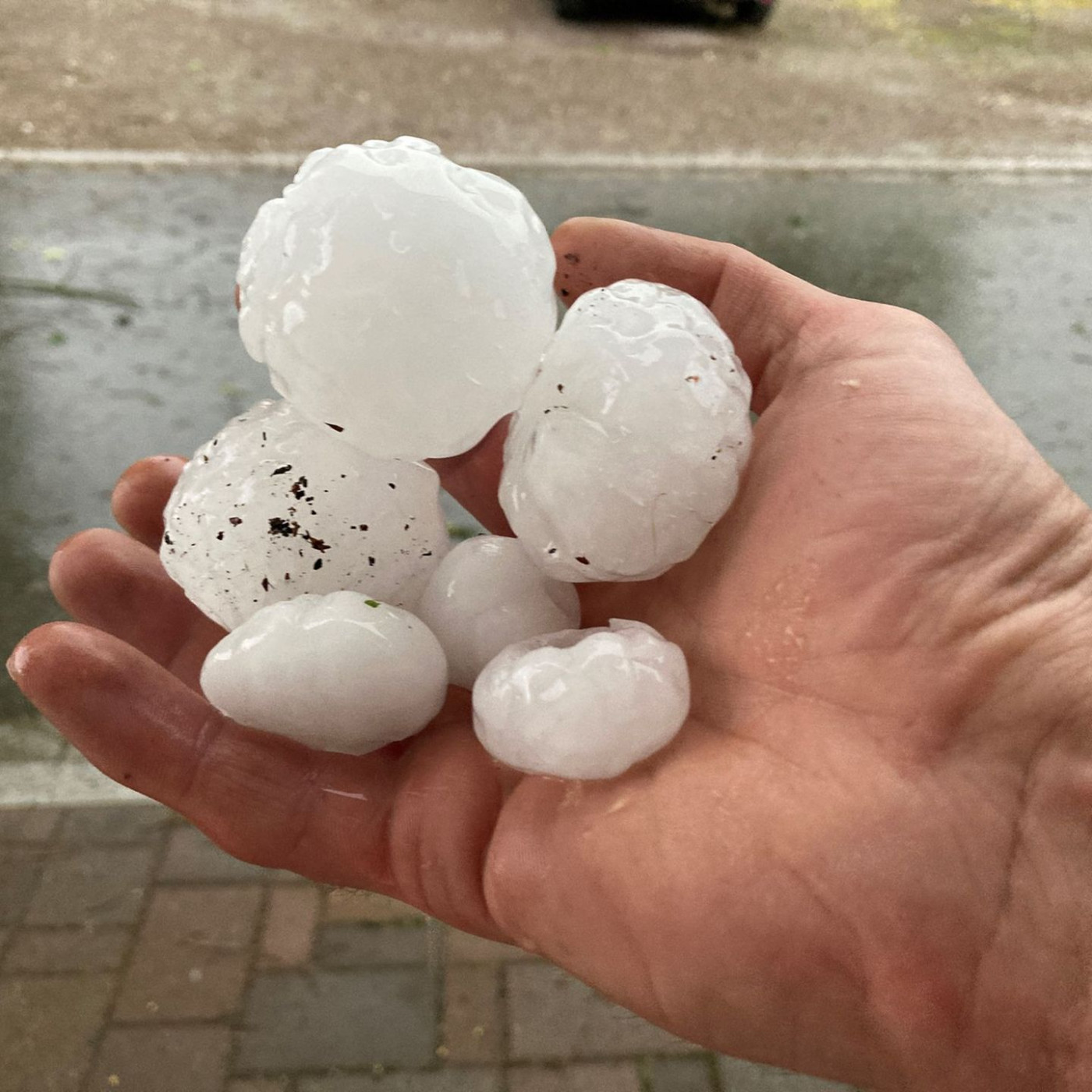 Deutsche Unternehmen stark hagelgef&auml;hrdet