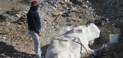 Schafhirte findet unbekannte Dinosaurier-Art auf seinen Feldern