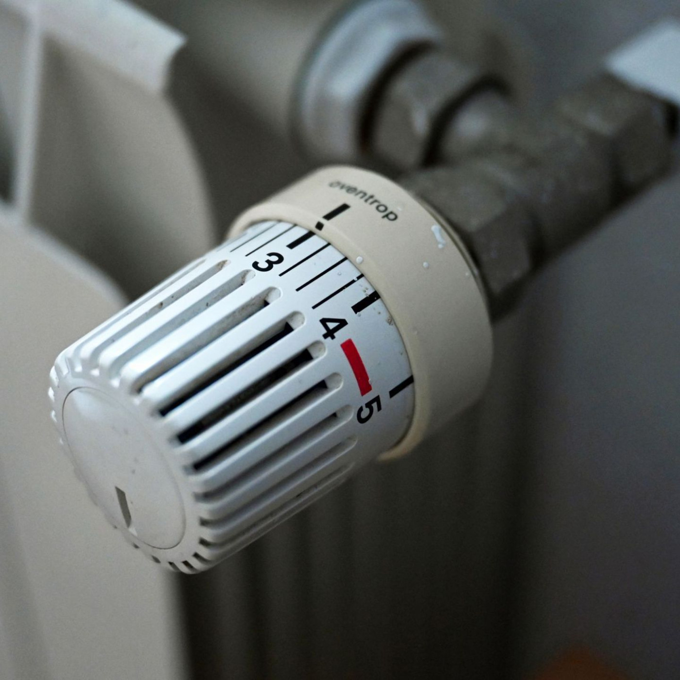 WWF: Vermieter sollen Extra-Heizkosten tragen