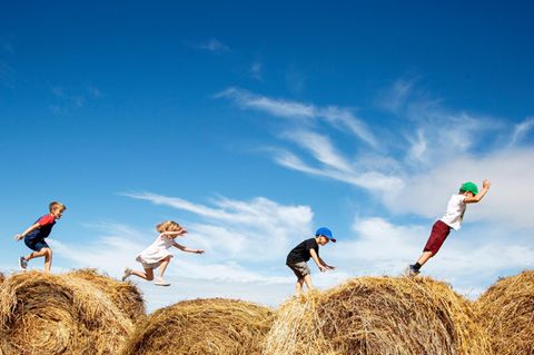 Haben Sie auch Heuschnupfen? Das k&ouml;nnte der Grund sein