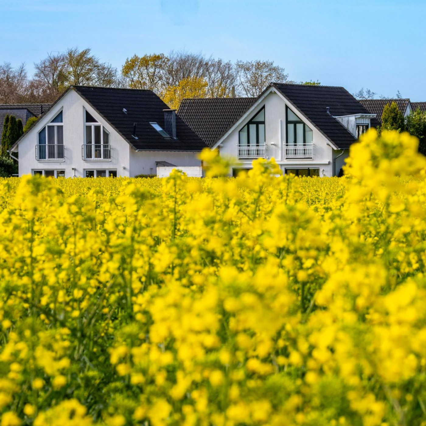 Warum Bauen in Deutschland sich kaum noch lohnt