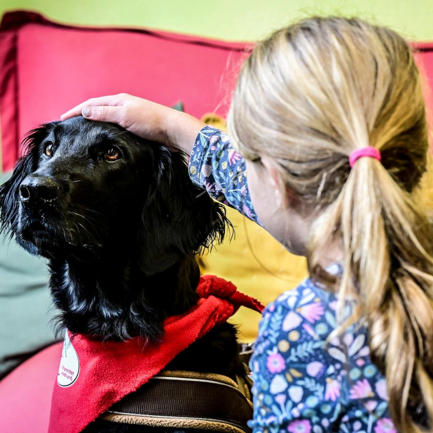 Wie ein Hund Kindern mit Krebs hilft