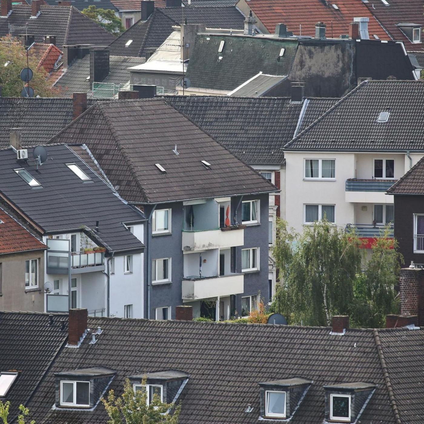 Energieeffizienz als Preisfaktor: So viel Rabatt gibt es auf Energieschleudern