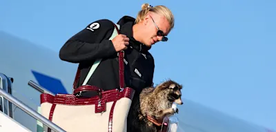 Haaland taucht mit Waschb&auml;r auf, Norwegen zelebriert WM-Party