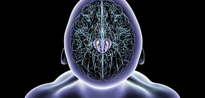 Warum erkranken M&auml;nner h&auml;ufiger an Parkinson? Forscher entdecken entscheidenden Faktor