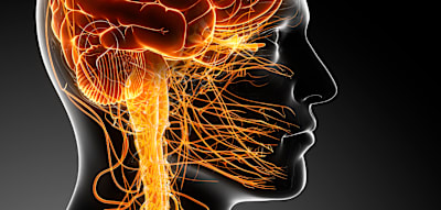 Raucher erkranken 40 Prozent seltener an Parkinson. Forscher entwickeln daraus ein Medikament