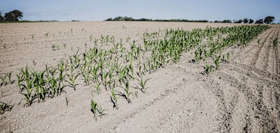Regenmenge bleibt gleich &ndash; und trotzdem nimmt das Wasserdefizit zu