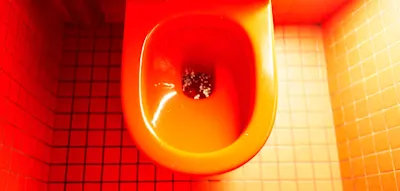 Was Sie alles einatmen, wenn Sie die Toilette absp&uuml;len