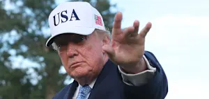 430 B&auml;ume an einem Tag gef&auml;llt &ndash; doch jetzt wird Trump gestoppt